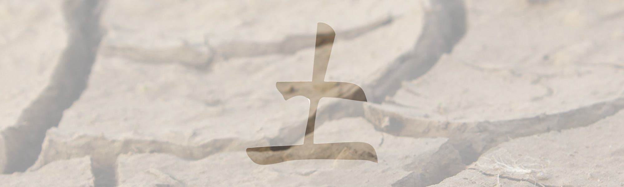 Muskeltest – Die Sprache deines Körpers